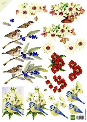 Mattie Birds and Flowers (2011)0131