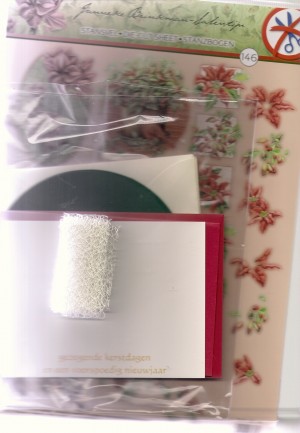 Kerst pakketje(Janneke Brinkman)stansvel 146