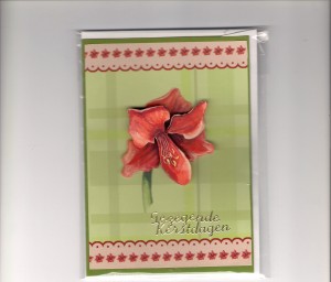 Kerst kaart(3D) Amerillesbloem JBS