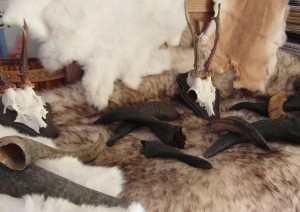 Konijnen vachtje wit,d.bruin,of wit/zacht bruin (puur natuur) ongev.35 cm lang